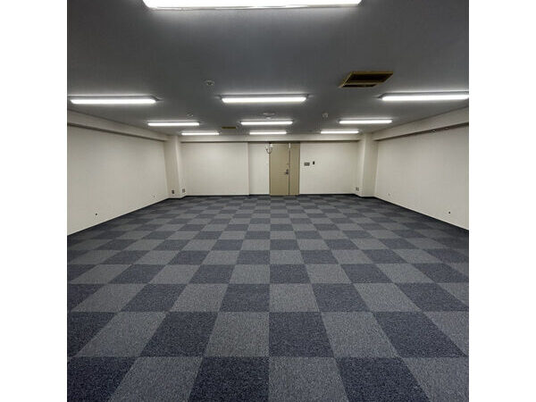 リープロビル